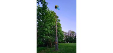 Maibaum