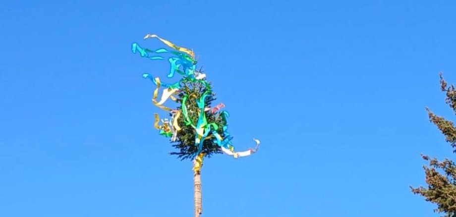 Maibaum