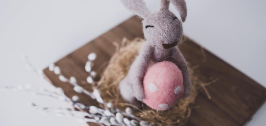 Bild Osterhase