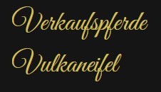 Firmenlogo Verkaufspferde Vulkaneifel